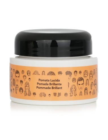 Alfaparf Pomada Brillante Style 100ml - TuCabelloSano