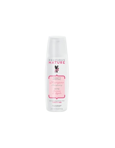 Alfaparf Champú Seco 250ml - TuCabelloSano